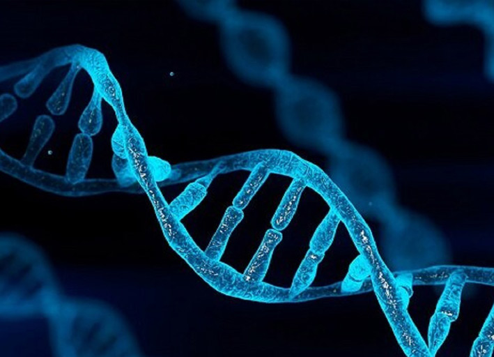 دیتاسنتر‌های حاوی DNA