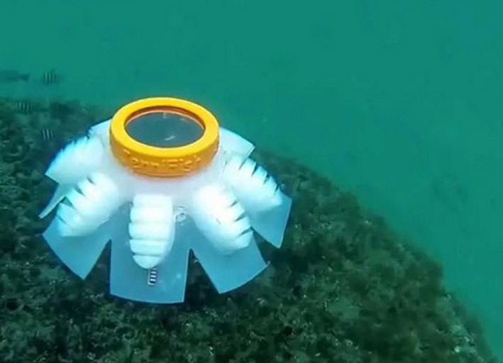ربات عروس دریایی