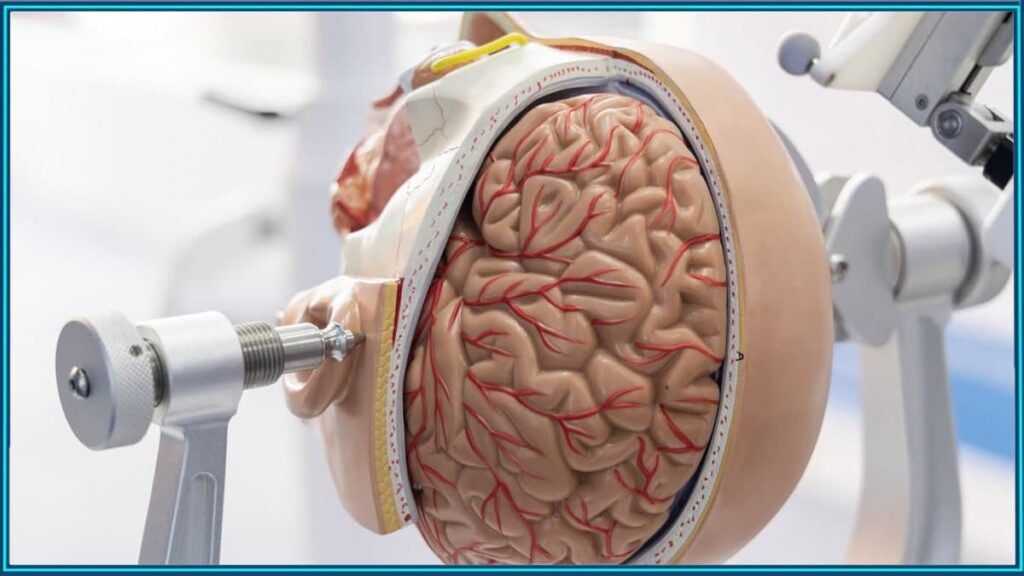 جراحی مغز رباتیک